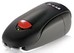 POLAR S1