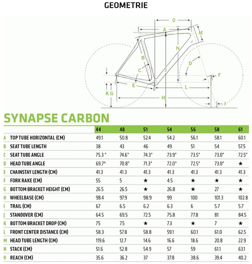 Cannondale 17 Synapse geo.jpg