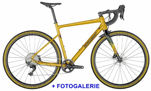 Bergamont 21 Grandurance 8 FG.jpg