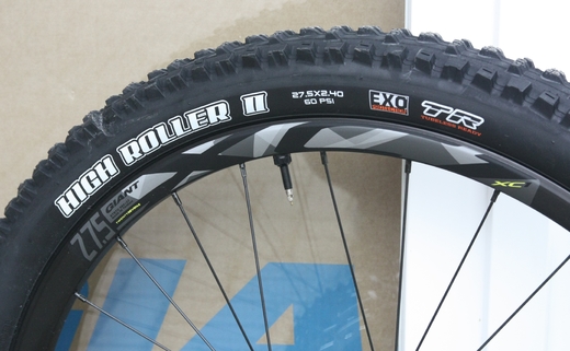 Giant 18 Trance 15 GE 8a.JPG