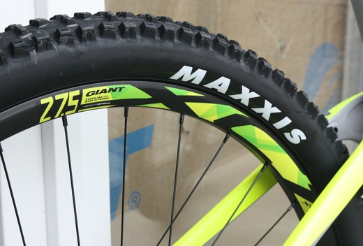 Giant 18 Trance 15 GE 8b.JPG
