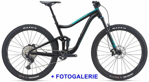 Giant 21 Trance 29 2 FG.jpg