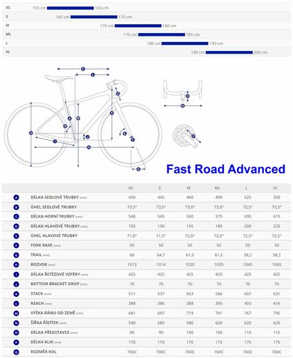 Giant 22 Fast Road Advanced geo.jpg