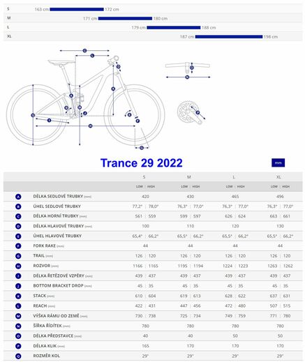 Giant 22 geo Trance 29.jpg