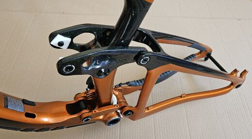 Giant Reign Adv Pro 29 1 FF 6.jpg