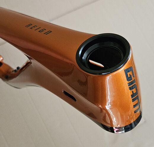 Giant Reign Adv Pro 29 1 FF 8.jpg
