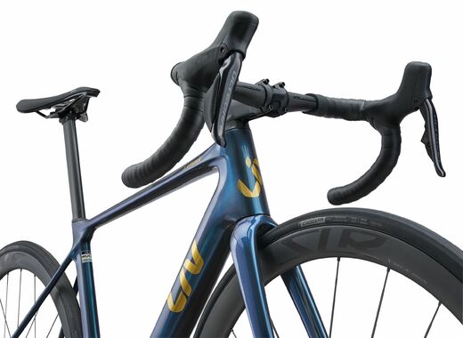 Liv 25 Langma Advanced Pro 0 PC 5.jpg