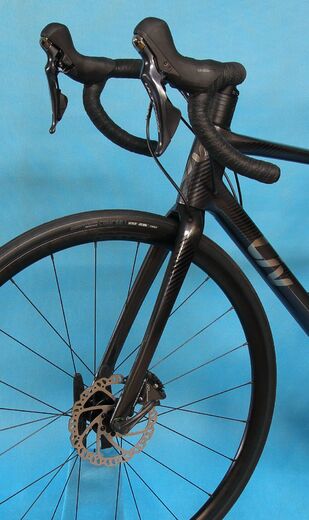 Liv Langma Advanced 1 ColdIron M23 8.JPG