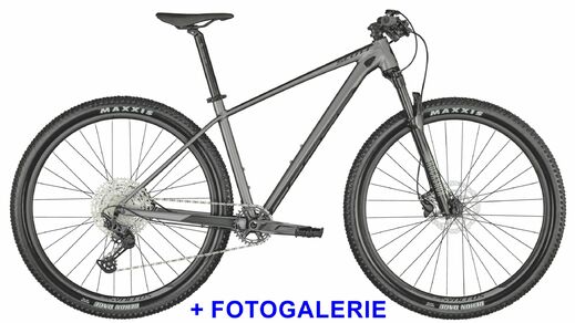 Scott 22 Scale 965 Grey FG.jpg