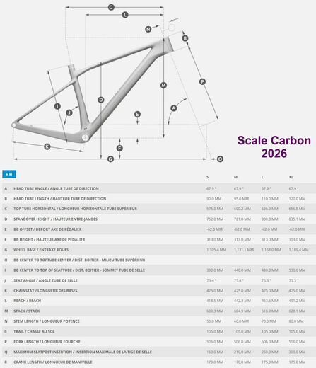 Scott 26 Scale Carbon geo.jpg