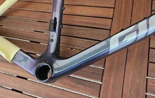 TCR 25 Advanced Pro FF BlueDragonfly 4.jpg