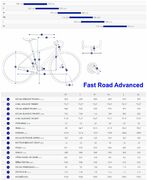 Giant 22 Fast Road Advanced geo.jpg